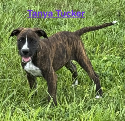 Female #2/ Tanya Tucker
