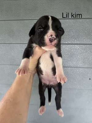 Lil Kim