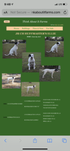 6D219076-AEAD-4230-952C-B025DC963C5B