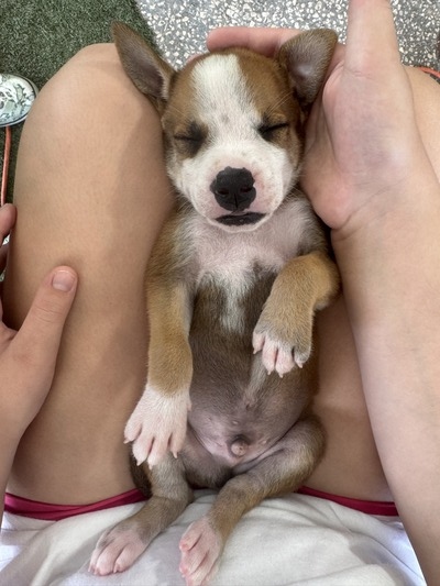 Johnny Cash/ Male #4 (Johnny)