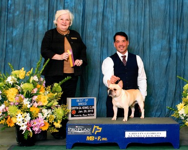 GCH CH JCRV Forjoy Warrior’s Bayou (Bully)