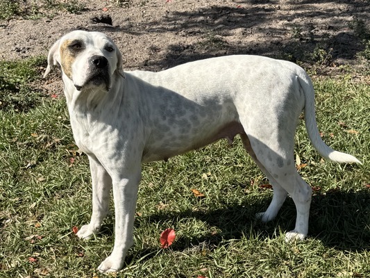 Sunshine’s Honeymoon