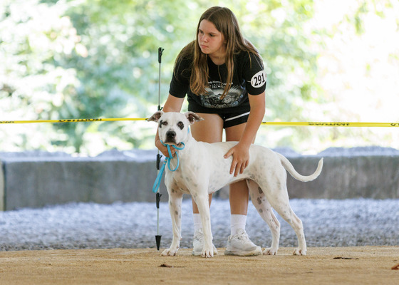 Sunshine’s Mischka