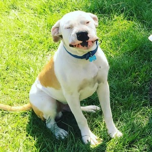 Worthingtonâ€™s smile