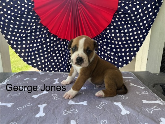 Male #2/ George Jones