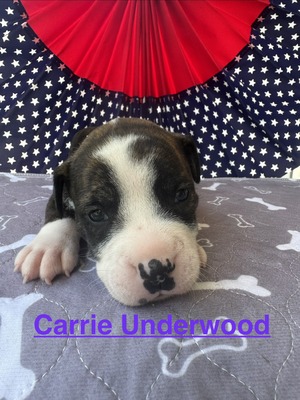 Female #5/ Carrie Underwood