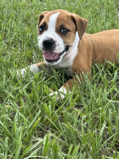 Male #2/ George Jones