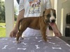 Patsy Cline / Female #3 (Patsy)