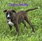 Female #2/ Tanya Tucker