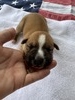 Loretta Lynn / Female #2 (Loretta)